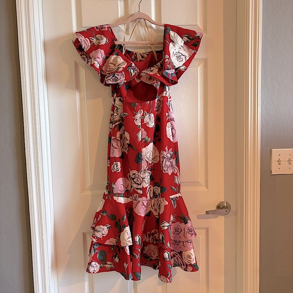 Fame and Partners Red Floral Dress - Picture 7 of 11